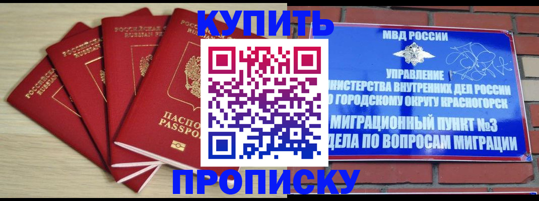 временная регистрация для всех в Михайлове